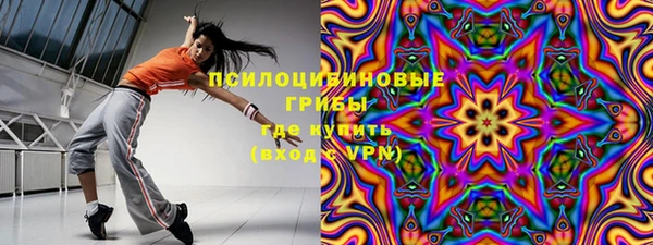 шишки Вязники