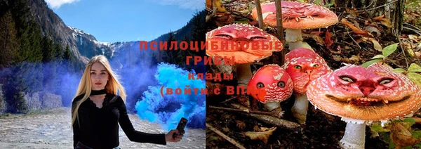 шишки Вязники